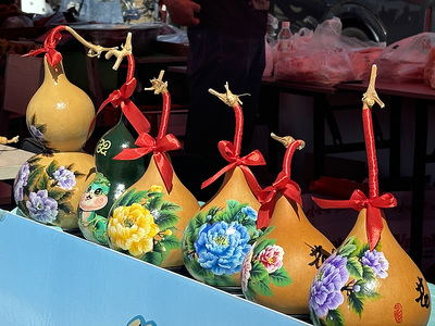 解锁田园新“硒”引力 大武口区“硒”望之约·田园硒游记嘉年华启幕，赋能个人健康生活